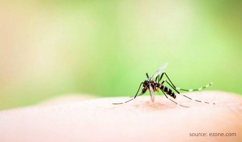 5 Tips Ampuh Hindari Serangan Penyakit Malaria