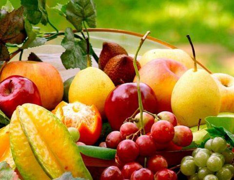 Vitamin Penting Yang Dibutuhkan